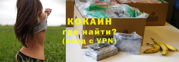mix Бородино