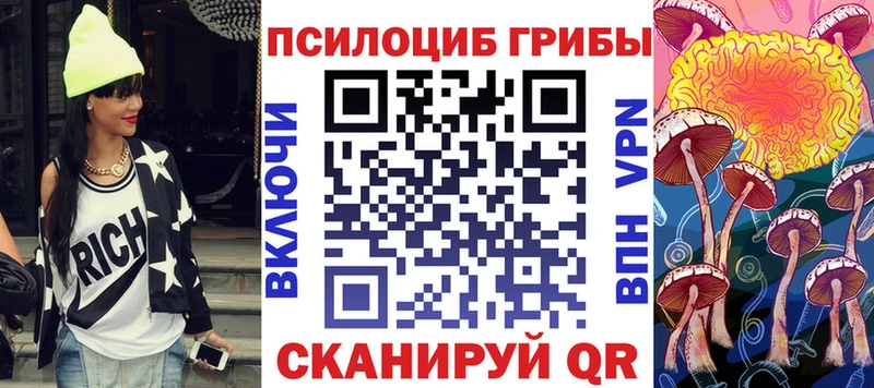 Псилоцибиновые грибы Cubensis  Купить  Кушва 