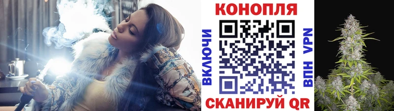 Купить Кушва Бошки Шишки семена